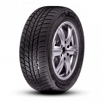 Roadx 225/55 R16 99H RX Frost WH01