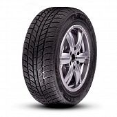 Roadx 225/55 R16 99H RX Frost WH01